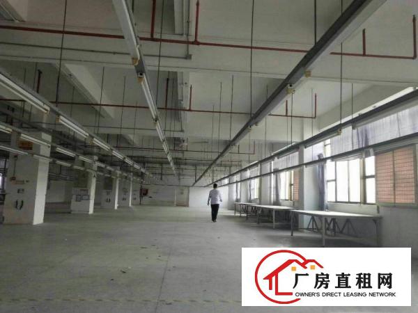
坪山新出大型独院厂房6w平方出租，有红本，空地大