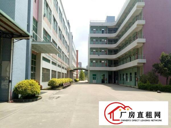
坪山新出大型独院厂房6w平方出租，有红本，空地大