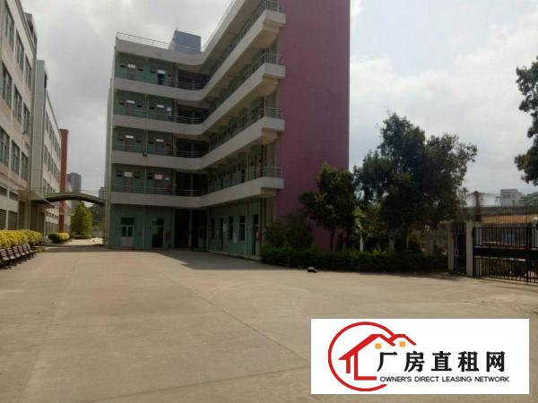 
坪山新出大型独院厂房6w平方出租，有红本，空地大