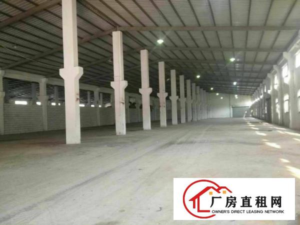 
坪山钢构厂房3500平方出租，带牛角，卸货平台，