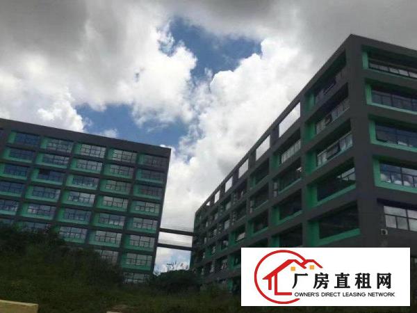 
出租大工业区36000平米独院厂房