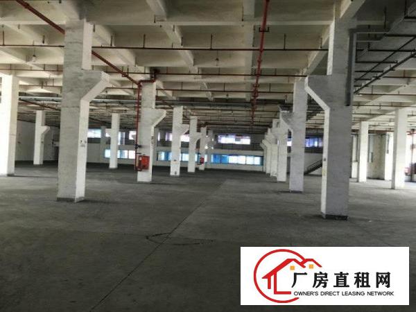 
出租大工业区36000平米独院厂房