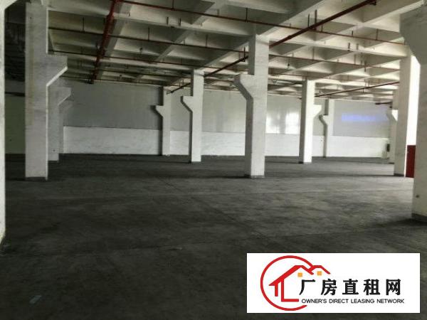 
坪山大工业区17600平米花园式厂房火热招租