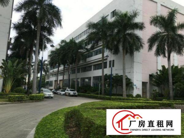 
坪山大工业区17600平米花园式厂房火热招租