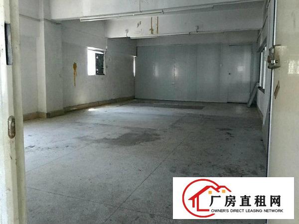 
碧岭工业园新沙路新出3楼整层厂房760平招租