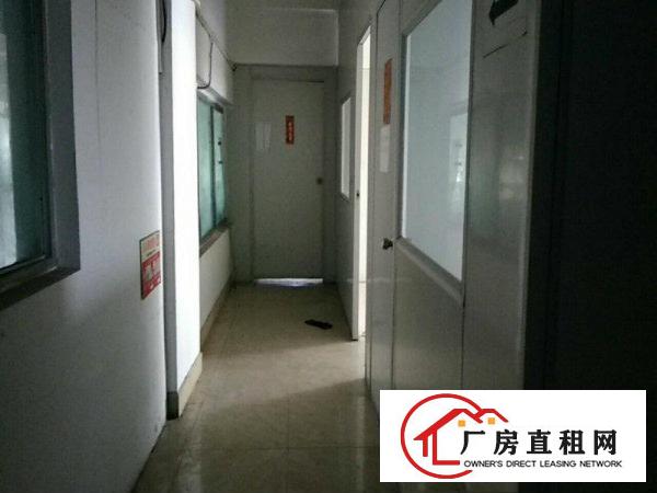 
碧岭工业园新沙路新出3楼整层厂房760平招租
