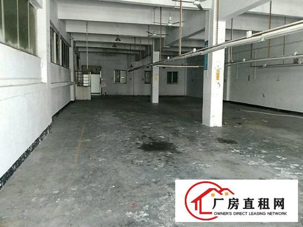 
碧岭工业园新沙路新出3楼整层厂房760平招租