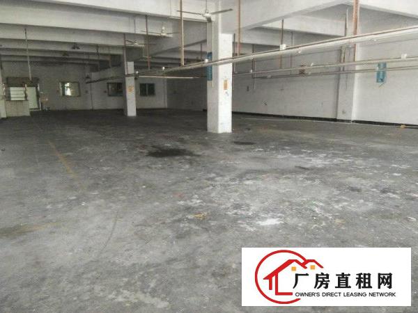 
碧岭工业园新沙路新出3楼整层厂房760平招租