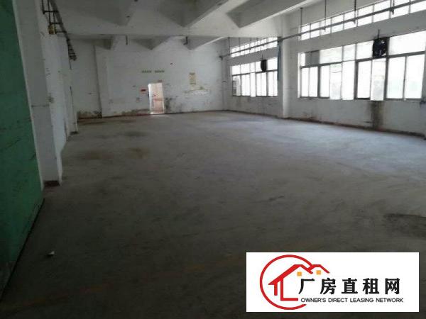 
坪山三洋湖工业新出超大独院厂房200平起招租