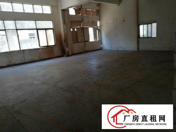 
坪山三洋湖工业新出超大独院厂房200平起招租