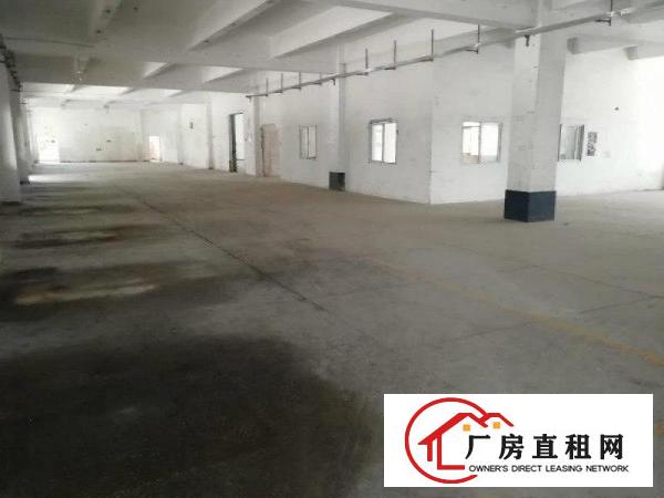 
坪山三洋湖工业新出超大独院厂房200平起招租