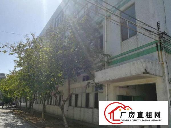 
坪山三洋湖工业新出超大独院厂房200平起招租