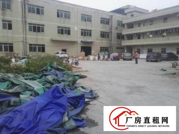 
坑梓秀新新出5米一楼标准厂房800平厂房招租