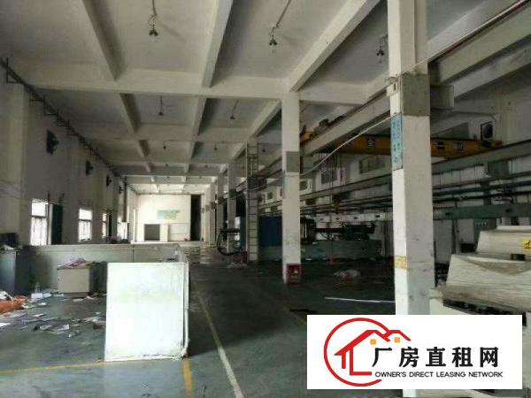 
坑梓秀新新出5米一楼标准厂房800平厂房招租