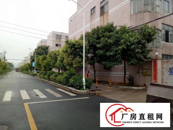
坪山三洋湖现成装修3600平米独院厂房出租