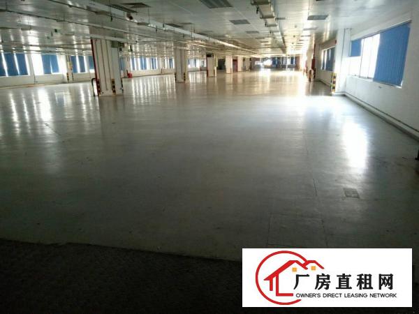 
坪山大工业区无尘车间5500平米精装修红本厂房出租