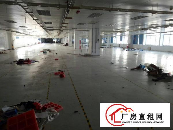 
坪山大工业区无尘车间5500平米精装修红本厂房出租