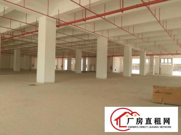 
生物医疗一一坪山大工业区格兰达全新独栋厂房八百平起