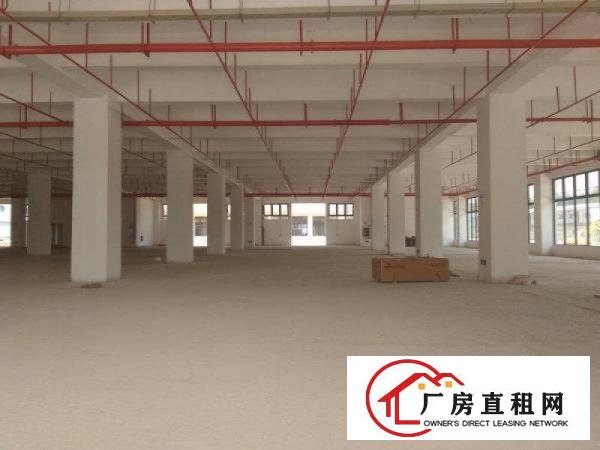 
生物医疗一一坪山大工业区格兰达全新独栋厂房八百平起