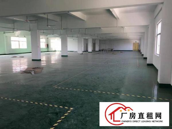 
坪山新出秒杀楼上720平，带装修有办公室，电梯两吨