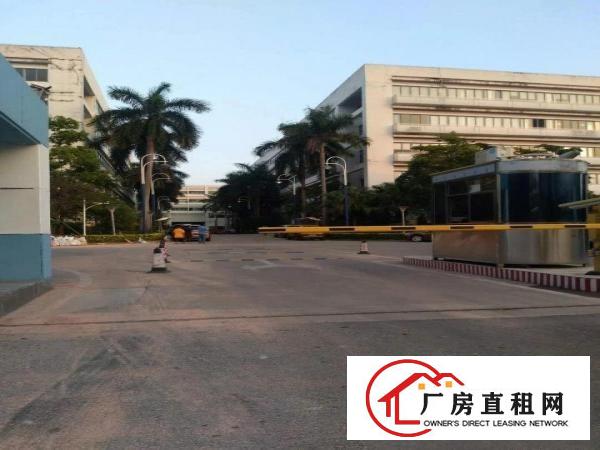 
坪山新出带红本一楼有卸货平台带现成装修，水电都有