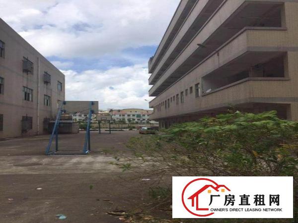 
坪山汤坑工业区新出4800平米原房东独院厂房招租
