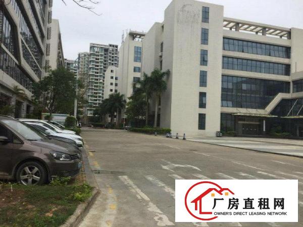 
坪山区高新产业园整栋、分层带消防喷淋招租（有红本）