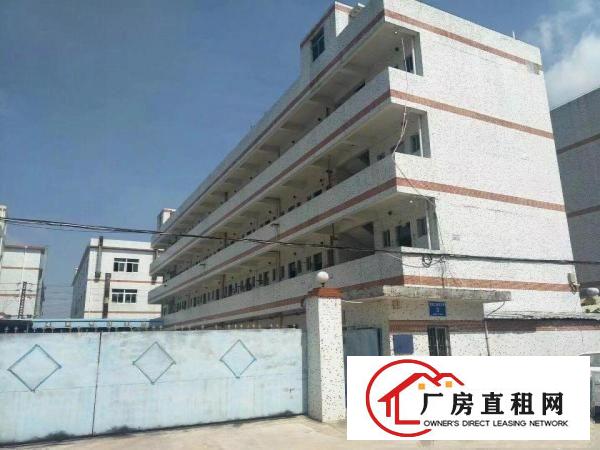 
坪山石井工业区独门独院三层厂房及宿舍5500平招租