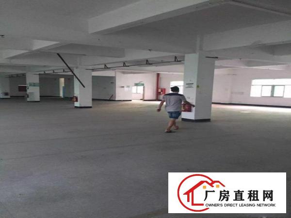 
坪山石井工业区独门独院三层厂房及宿舍5500平招租