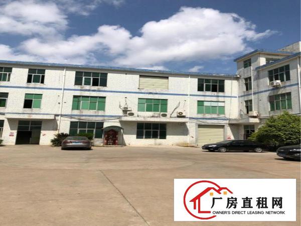 
坪山比亚迪旁石井楼上500平原房东带装修厂房出租