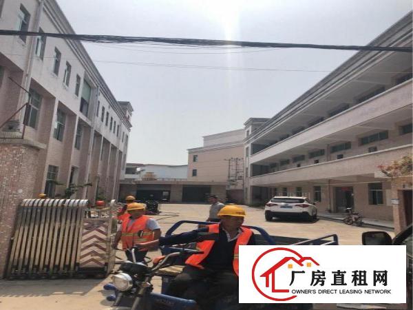 
碧岭9成新独院厂房1,2楼各1400平出租可分租