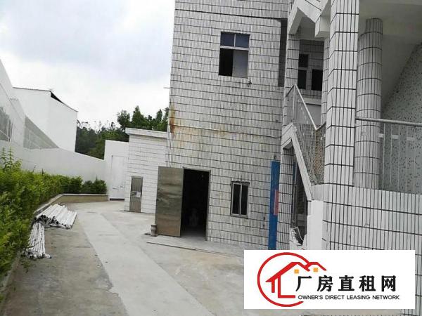 
坪山石井工业区原房东独院2400平招租