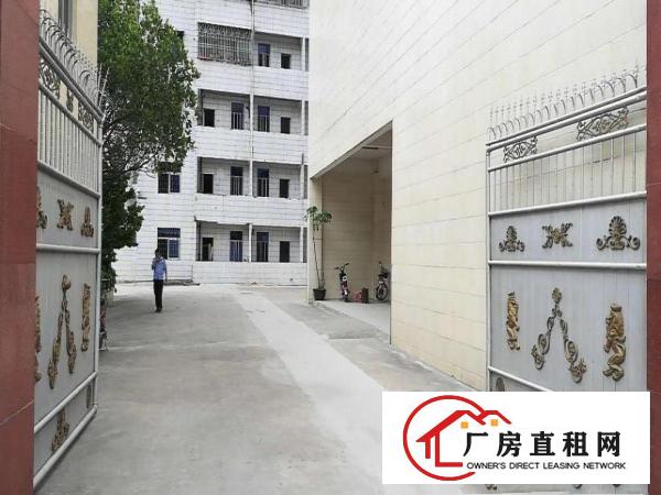 
坪山石井工业区原房东独院2400平招租