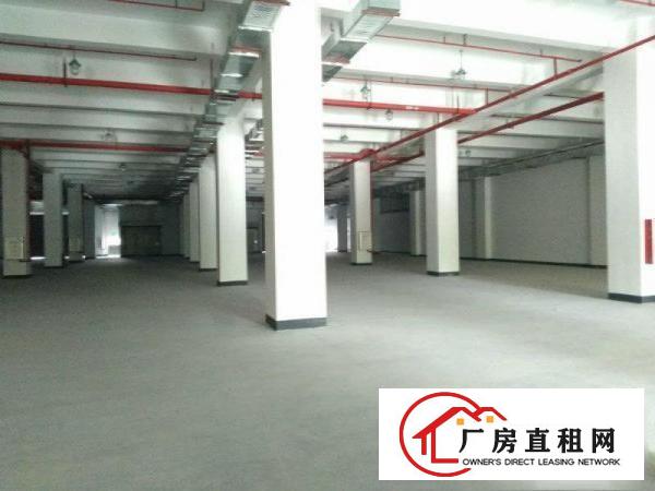 
坪山大工业区红本厂房新出楼上220平送办公装修招商