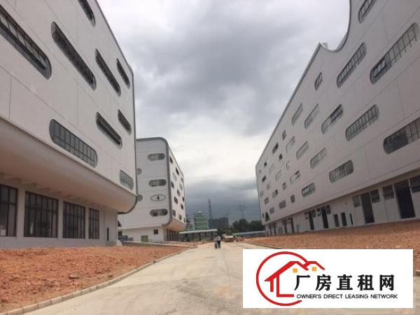 
深圳出口保税区厂房仓库29万平出租，享受镇府补贴