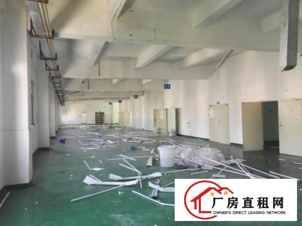 
坪山碧岭新空置3楼1300平原房东红本厂房