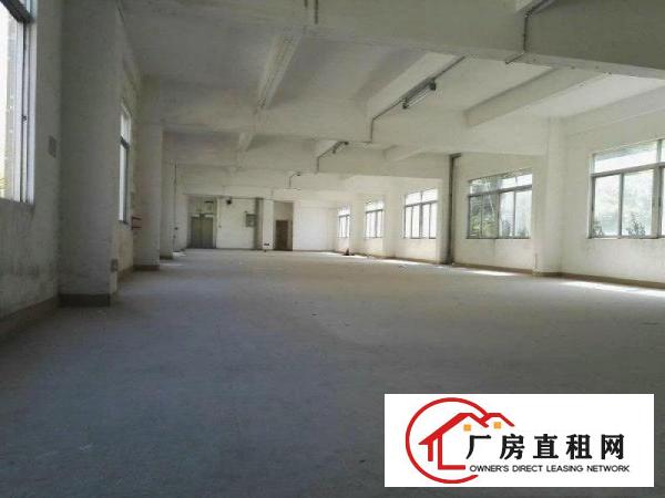
坪山同富裕工业区3楼920平米带办公室厂房出租