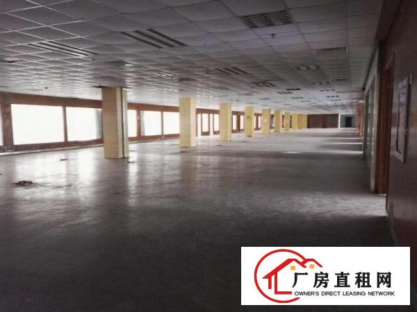 
坪山新出独院2500平厂房原房东便宜出租