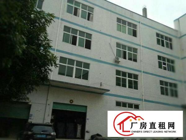 
坑梓龙田新出一楼标准厂房800平方，低价出租
