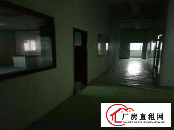 
坑梓龙田新出一楼标准厂房800平方，低价出租