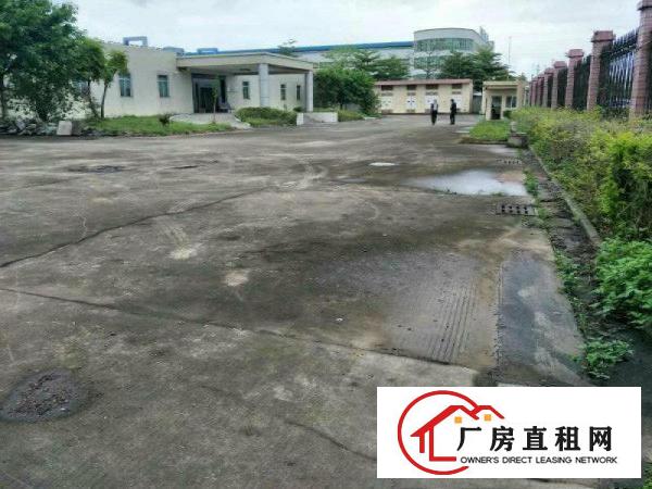 
免中介费坪山石井空置1楼450平米标准厂房出租