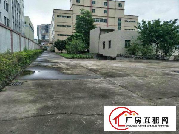 
免中介费坪山石井空置1楼450平米标准厂房出租