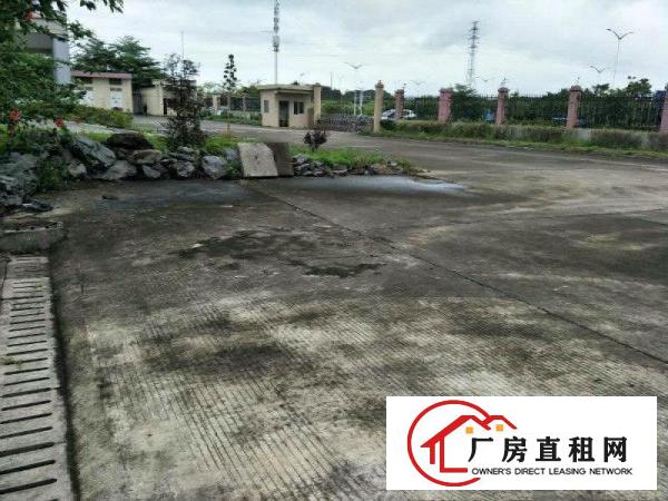 
免中介费坪山石井空置1楼450平米标准厂房出租