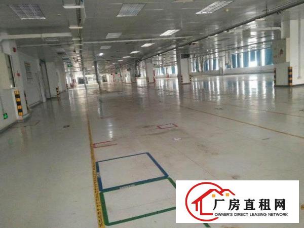 
高新产业园带装修2230平双电梯坪山大工业区