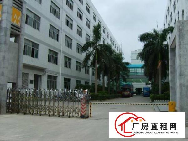 
高速出口新出楼带装修830平13元坪山碧岭