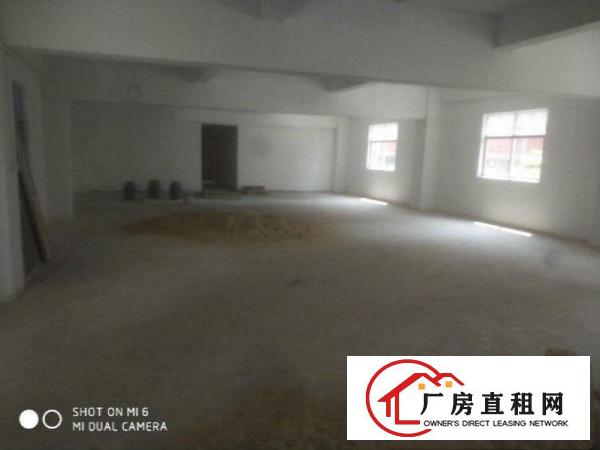 
深汕路边上新出标准厂房一楼300平带装修坪山六联