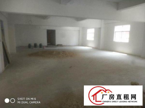 
深汕路边上新出标准厂房一楼300平带装修坪山六联