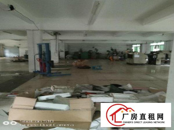 
中心位置原房东独院3900平带精装修坪山江岭