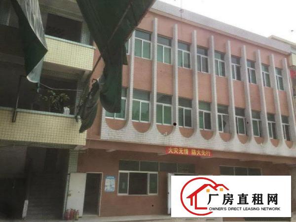 
中心位置原房东独院3900平带精装修坪山江岭