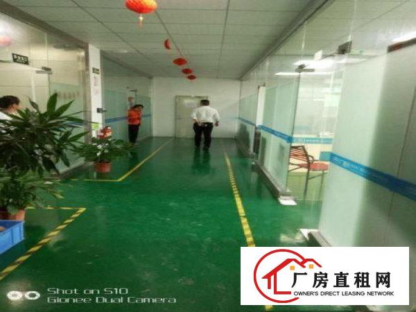 
新出楼上现成水电装修310平11元出租坪山石井